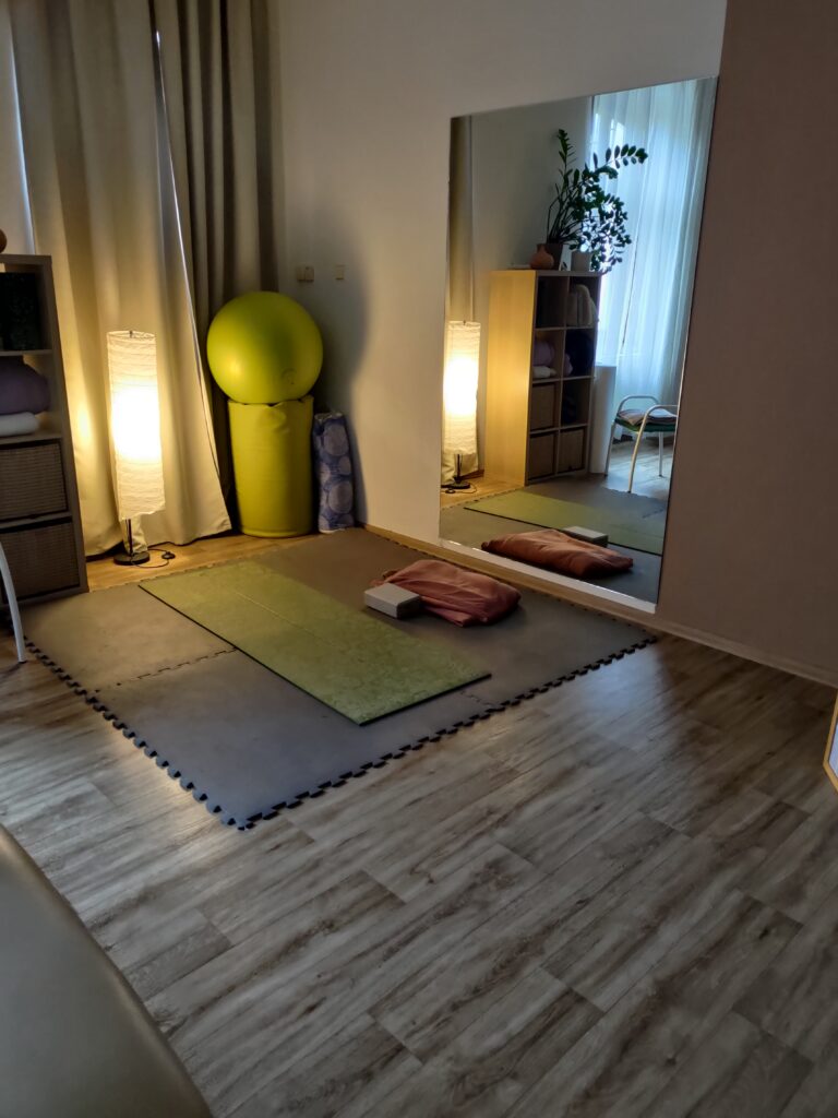 endometrioza brno